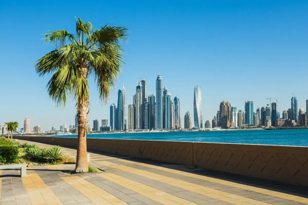 Dubaï Marina vue sur la mer, les buildings et un palmier