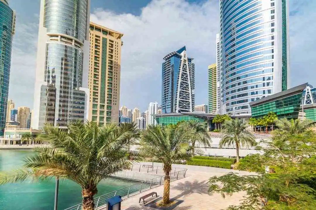 Un cadre de vie agréable à JLT Dubaï buildings et palmiers