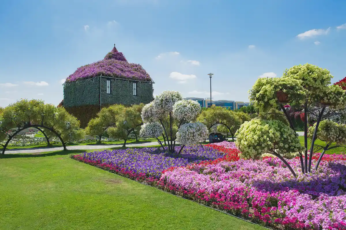 dubai miracle garden