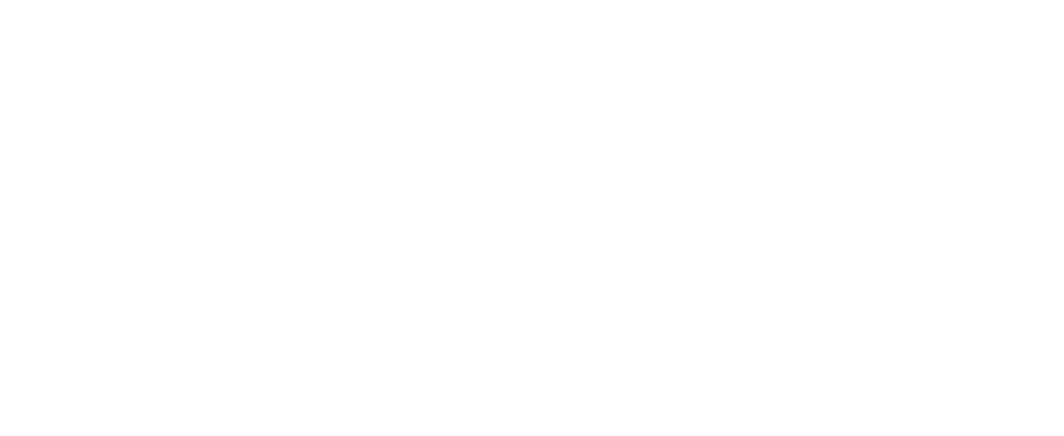 Logo QUBE Development