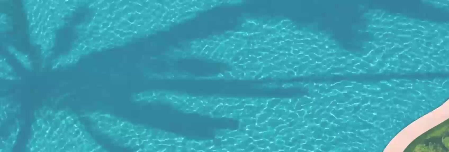 Ombre de palmier sur l'eau turquoise du lagon, projet Mirari Lagoon by Zoya