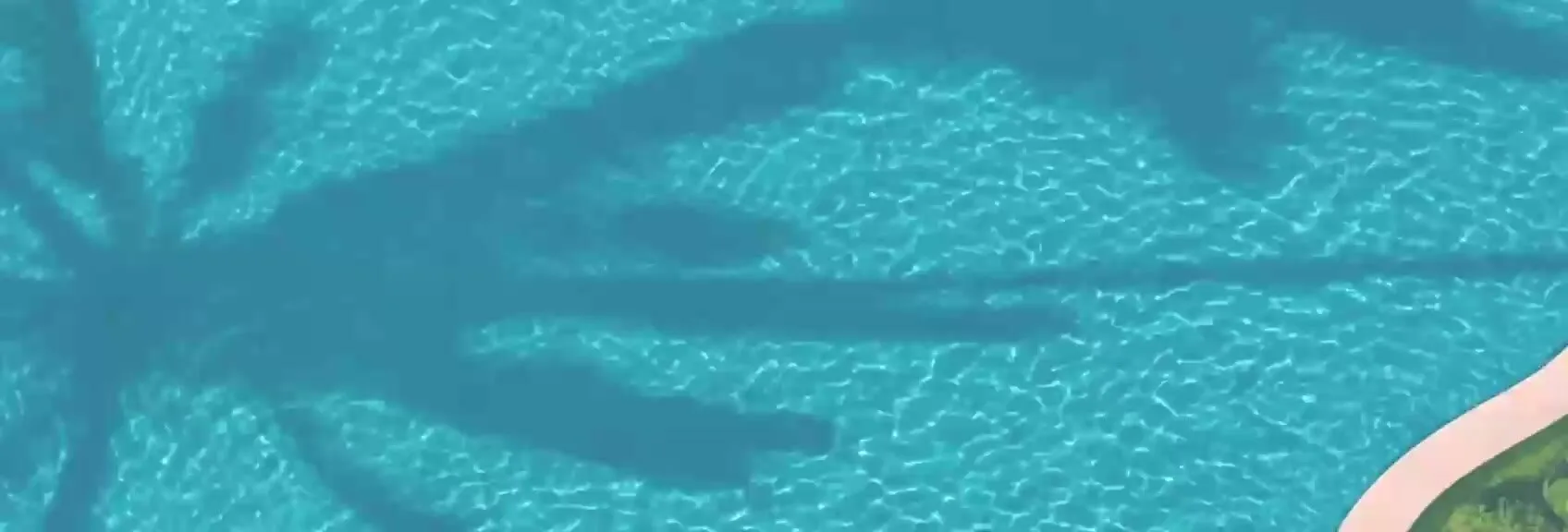 Ombre de palmier sur l'eau turquoise du lagon, projet Mirari Lagoon by Zoya