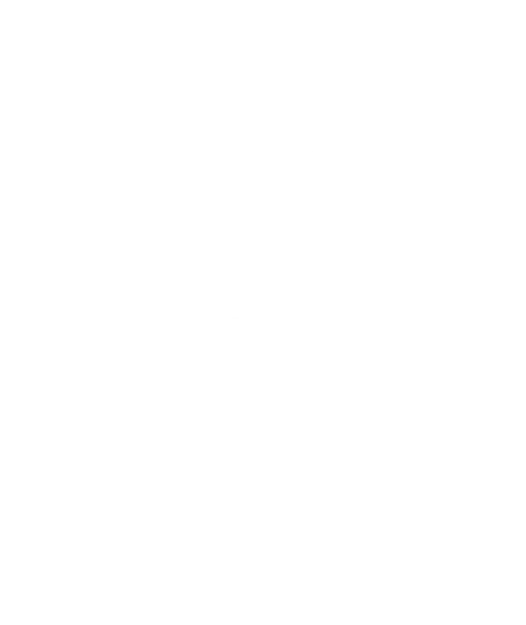 Logo Red Sea Global