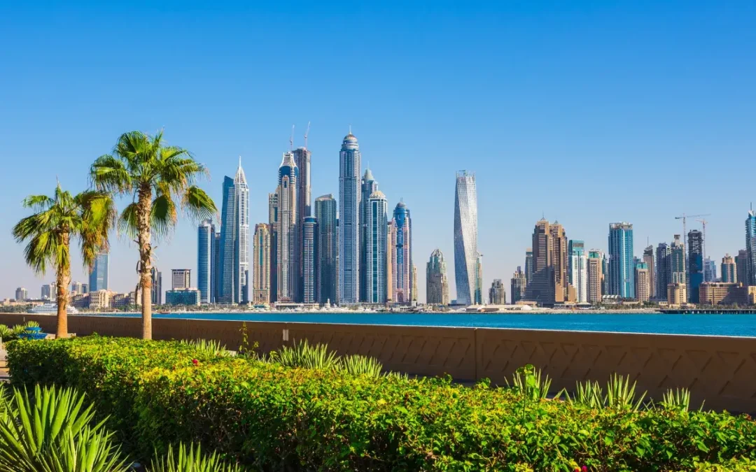 Étudier à Dubaï : prix, bourses, démarches, scolarité